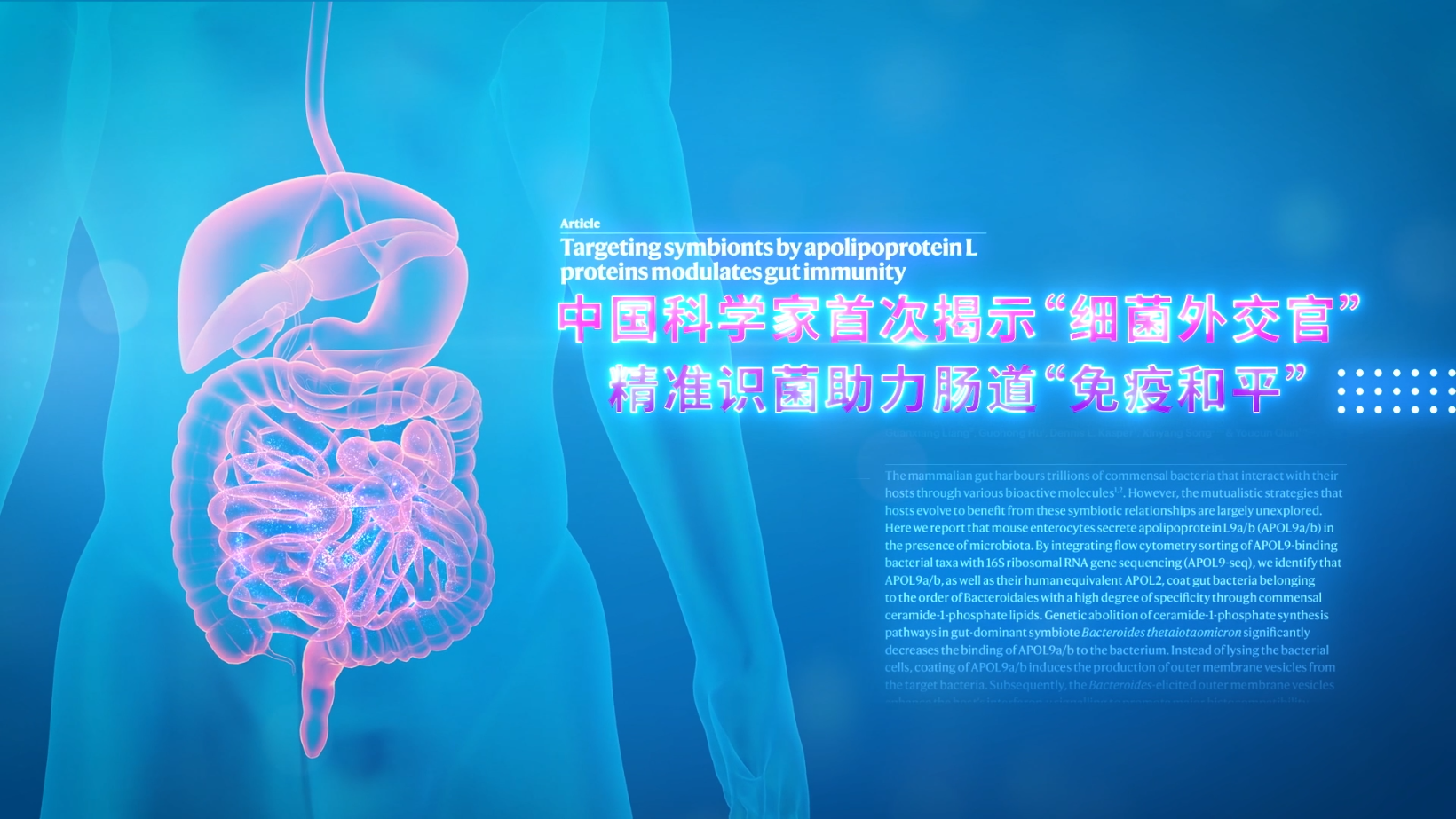科普视频|中国科学家首次揭示“细菌外交官” 精准识菌助力肠道“免疫和平”