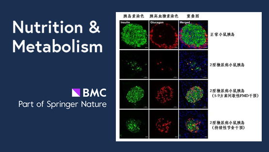 陈雁研究组揭秘间歇性节食和持续性节食对于控制糖尿病孰优孰劣