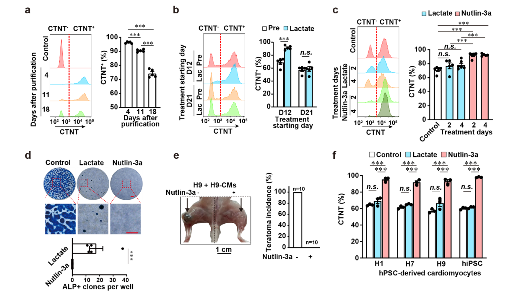 营养与健康所杨黄恬研究组建立简便、高效的人多能干细胞分化的心肌细胞纯化方法
