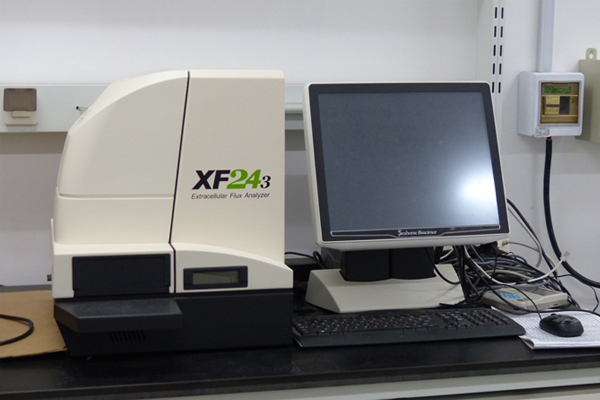 实时细胞代谢分析系统