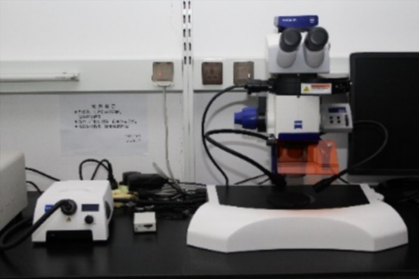 荧光体视显微镜