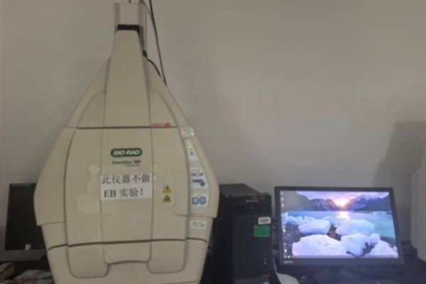 多功能荧光化学发光成像系统