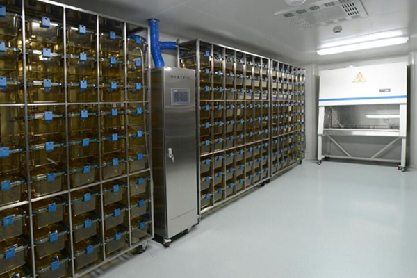 小鼠独立通风系统S8