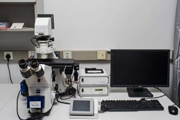 荧光倒置显微镜Axio observer Z1