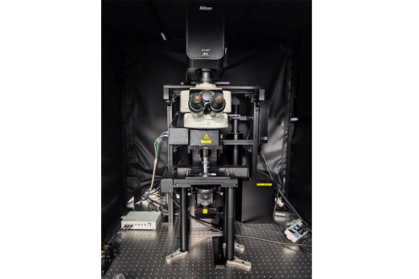 快速超分辨双光子共聚焦显微镜（ 正置）